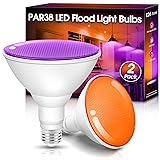 Orange and Purple Flood Light Bulbs Outdoor 2