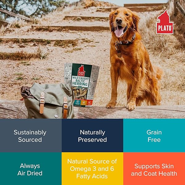 PLATO PET TREATS FISH DOG TREATS – AIR-DRIED, SINGLE INGREDIENT DOG TREAT – WITH OMEGA 3 & 6 FATTY ACIDS TO SUPPORT SKIN AND COAT – 100% WHOLE FISH – WILD CAUGHT BALTIC HERRING DOG TREATS – 8.5 OZ