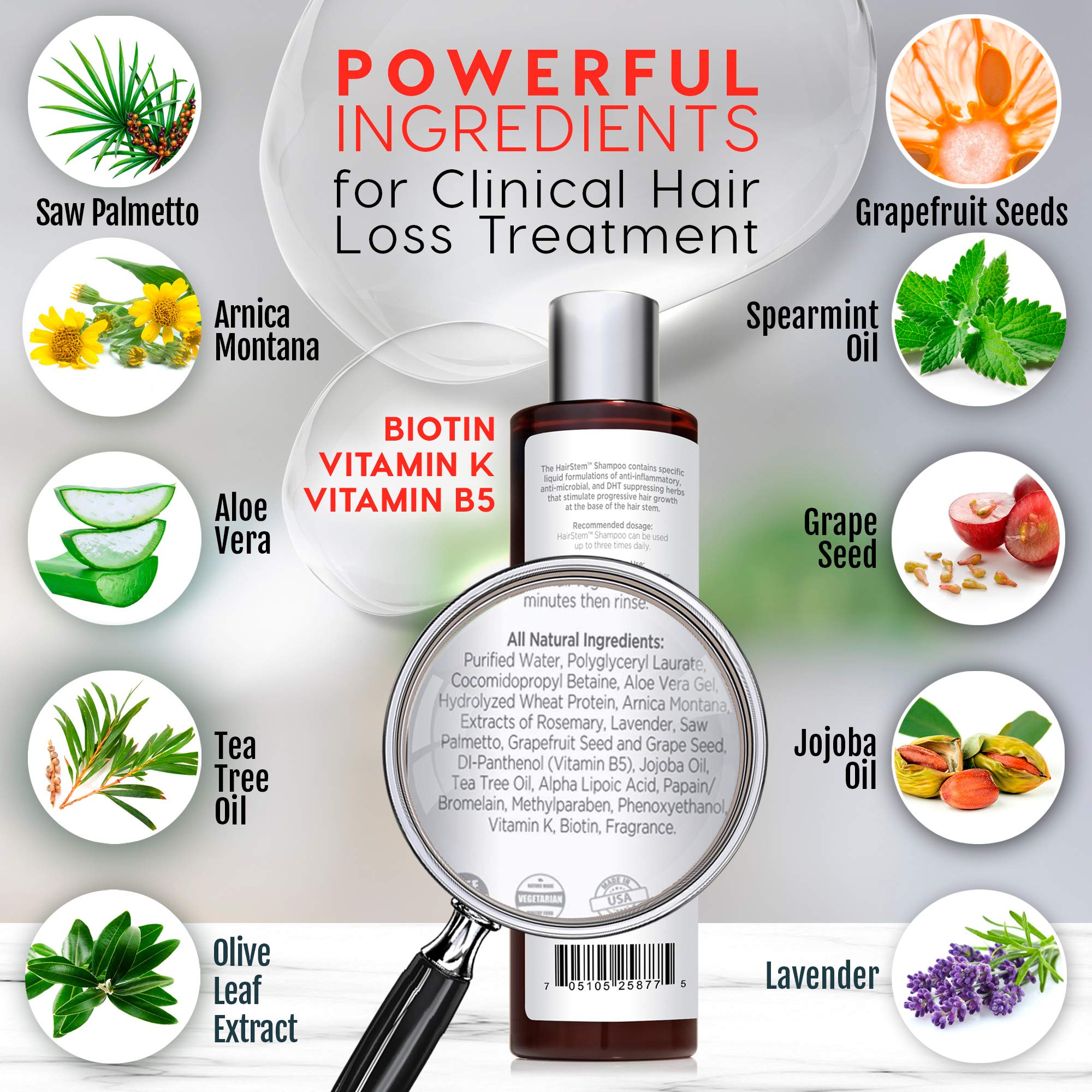 HairStem DHT Blocker Hair Growth Shampoo Products with Biotin, Saw Palmetto - Clinically Developed - Hair Loss Products Treatments- 10oz