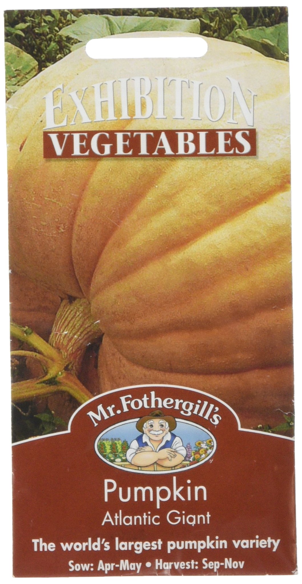 Mr Fothergill's Pumpkin Atlantic Giant