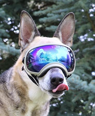 small dog goggles amazon