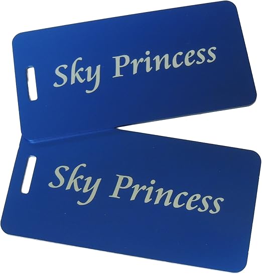 princess luggage tags