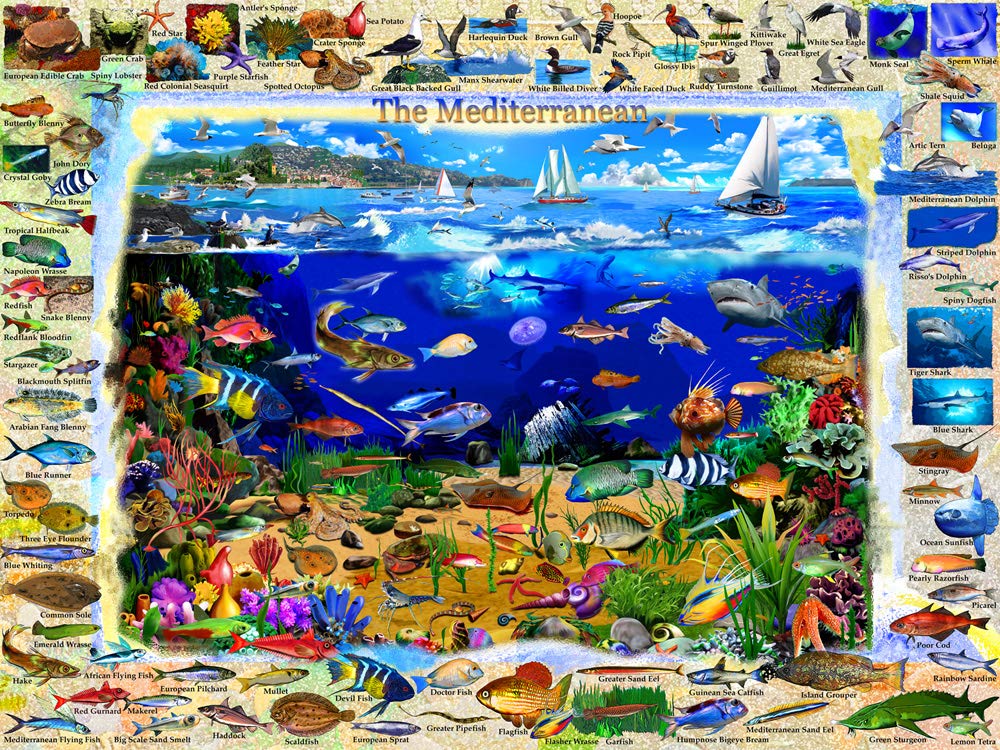 Vermont Christmas Company The Mediterranean Jigsaw Puzzle 550 Piece