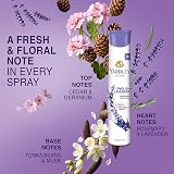 Yardley London English Lavender Refreshing Body Spray 150ml view 5