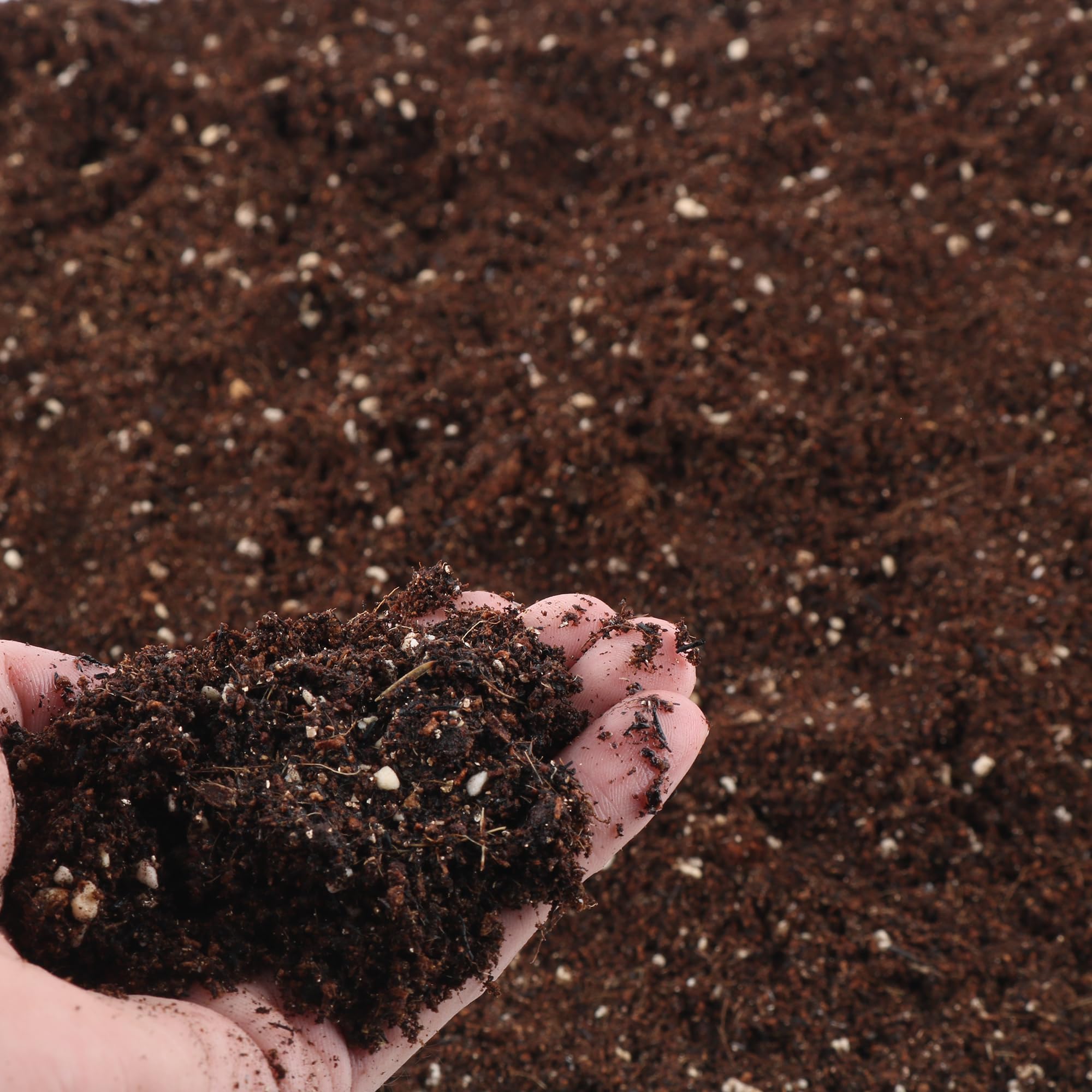 Potting Soil Mix - 3QT Soil for Indoor Plants, All Natural and Organic ...