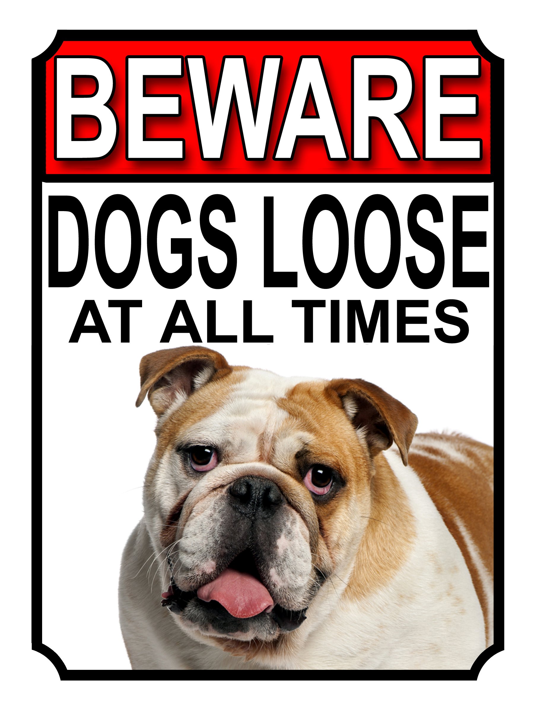 SHAWPRINT BEWARE DOGS LOOSE AT ALL TIMES METAL SIGN BULLDOG 200MM X 150MM (987H1)