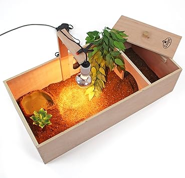 small tortoise table