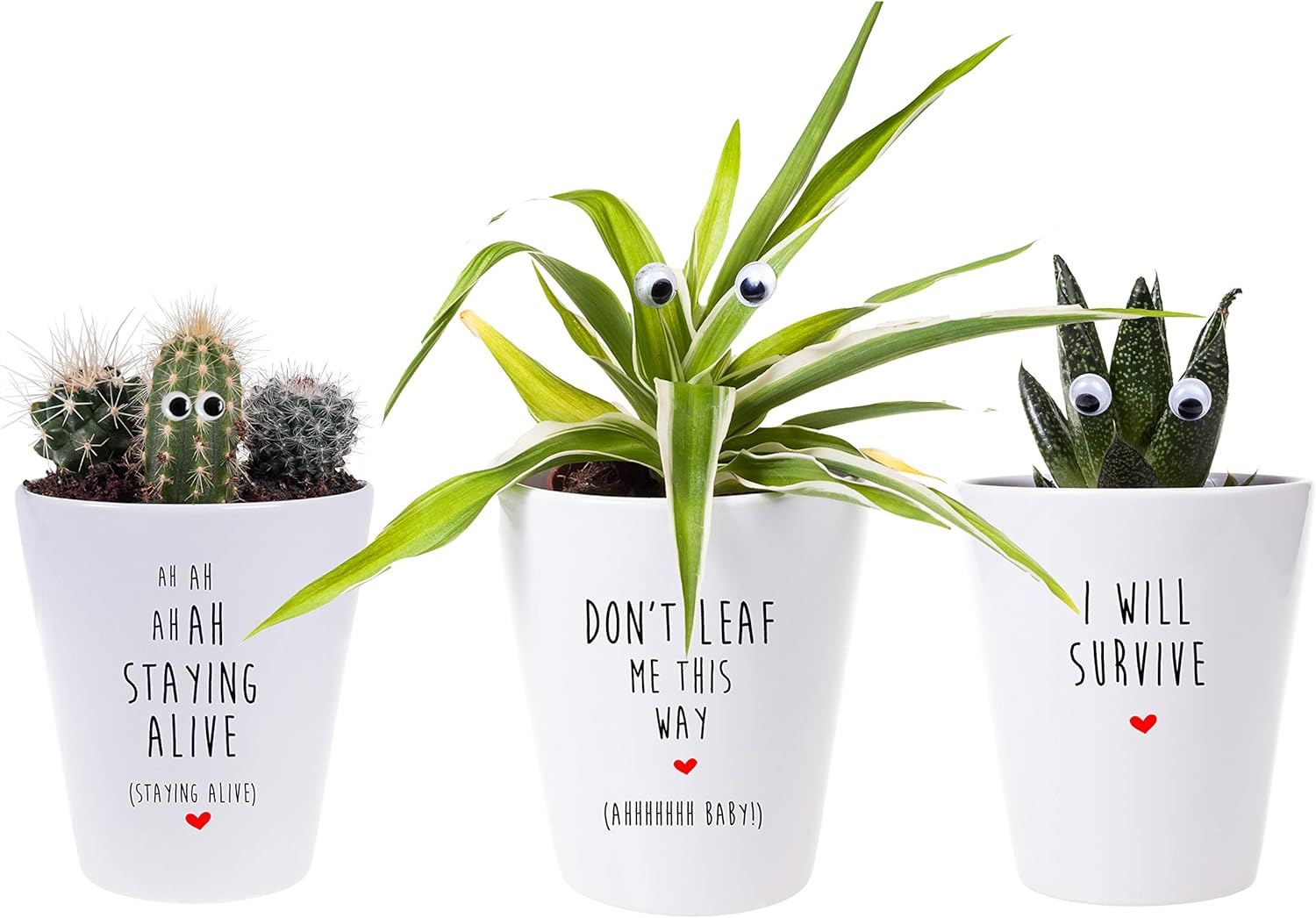 Mrs Bee S Emporium Set Of 3 Funny Plant Pots Disco Cactus Gift Desk Planters Amazon Co Uk Kitchen Home