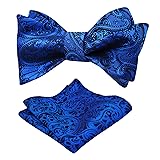 Alizeal Men's Paisley Jacquard Tuxedo Self Bow Tie