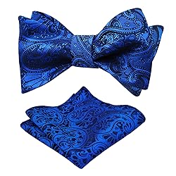 Alizeal Men's Paisley Jacquard Tuxedo Self Bow Tie