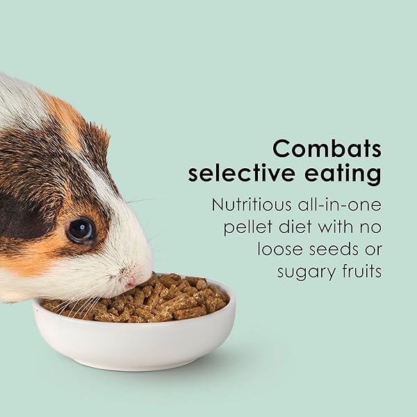 KAYTEE TIMOTHY COMPLETE GUINEA PIG FOOD, MADE WITH TIMOTHY HAY, HIGH IN FIBER, SUPPORTS DENTAL HEALTH AND DIGESTION, LONG-LASTING VITAMIN C, 9.5 POUNDS