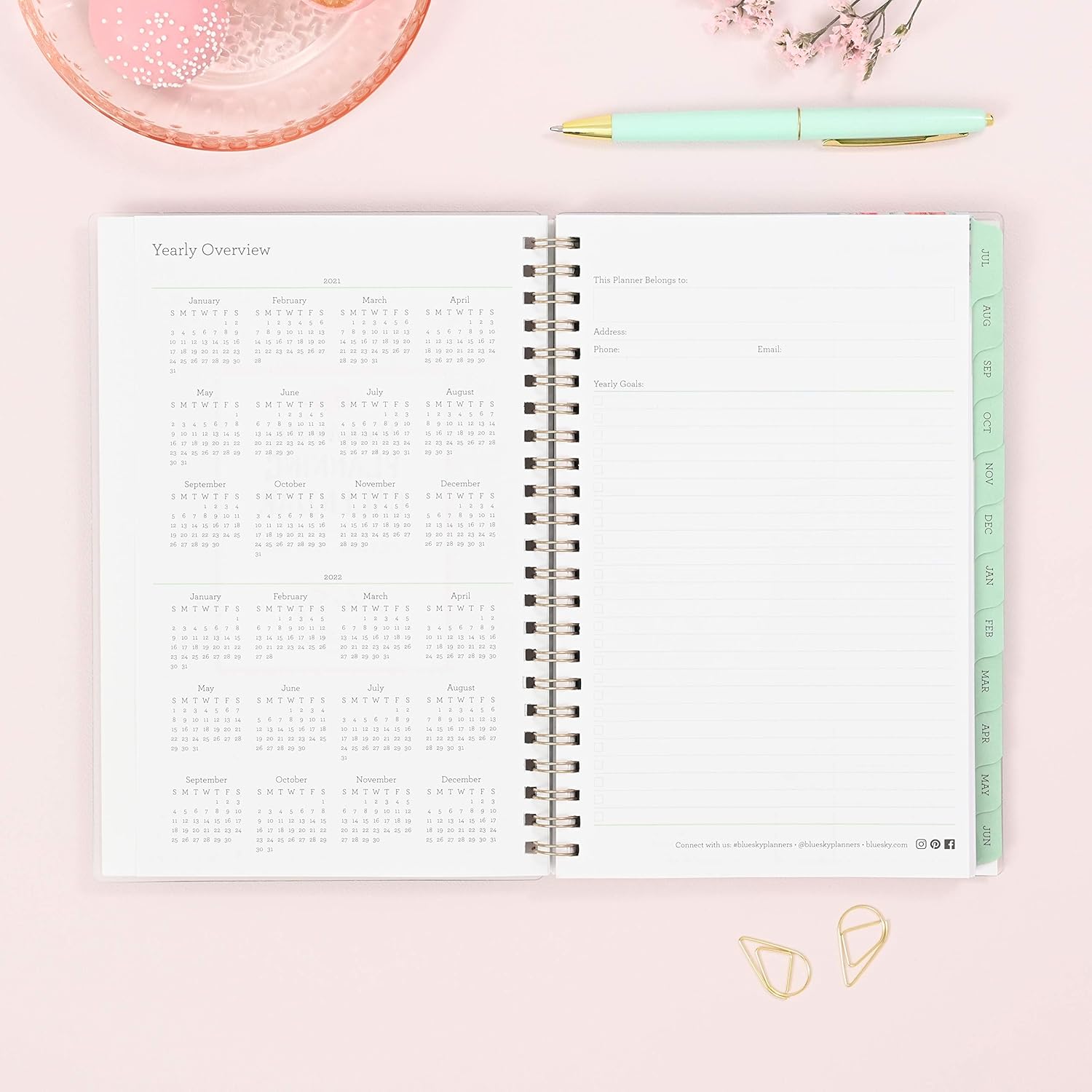 Blue Sky 2021-2022 Academic Year Weekly & Monthly Planner, 5" x 8", Frosted Flexible Cover, Wirebound, Laurel (131949): Office Products