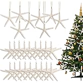 20PCS Christmas Starfish Ornaments Ready to Hang 3"-4'' Natural Starfish Decor with Drilled Holes & Hanging Rope for Christmas Tree Hanging Ornaments, Beach Theme Wedding Home DIY Crafts