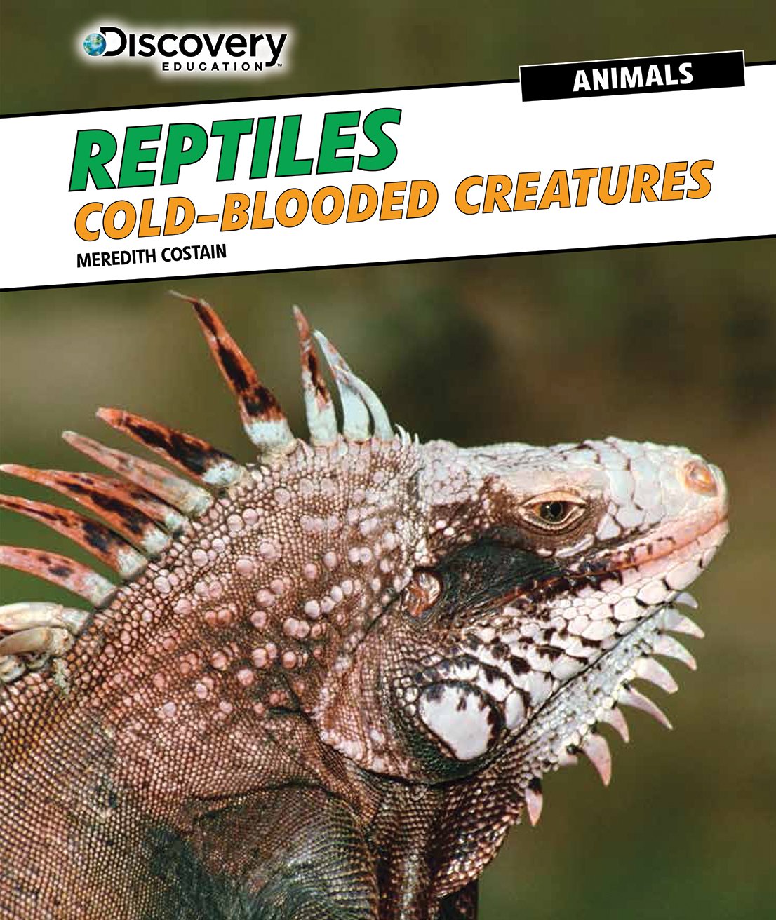cold blooded reptiles