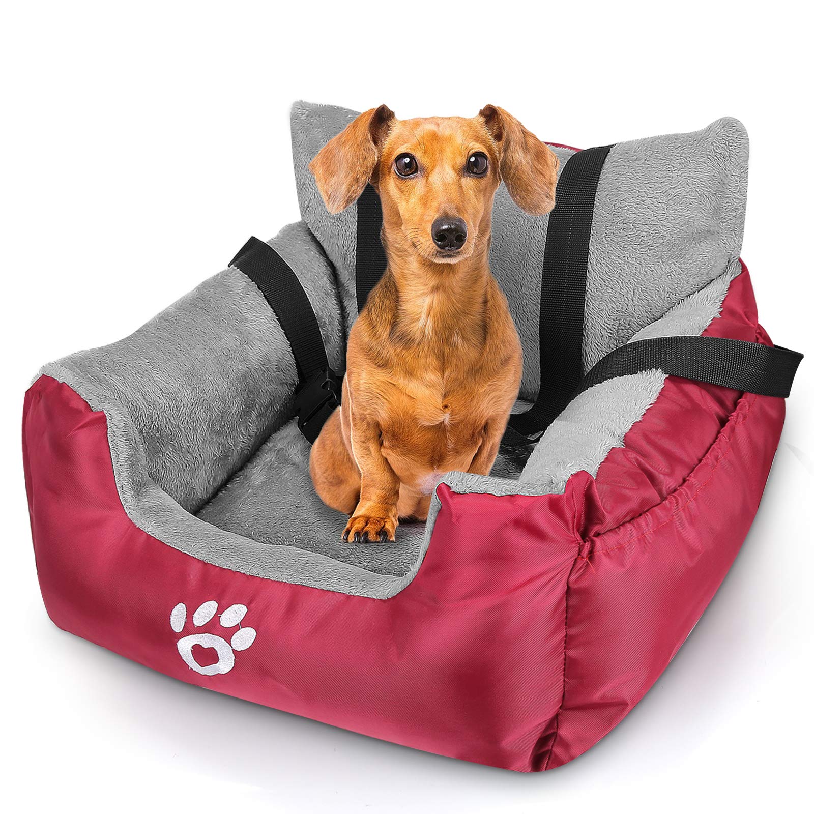 Buy GoFirst Dog Car Seat for Small Dogs or Cats, Pet Booster Seat