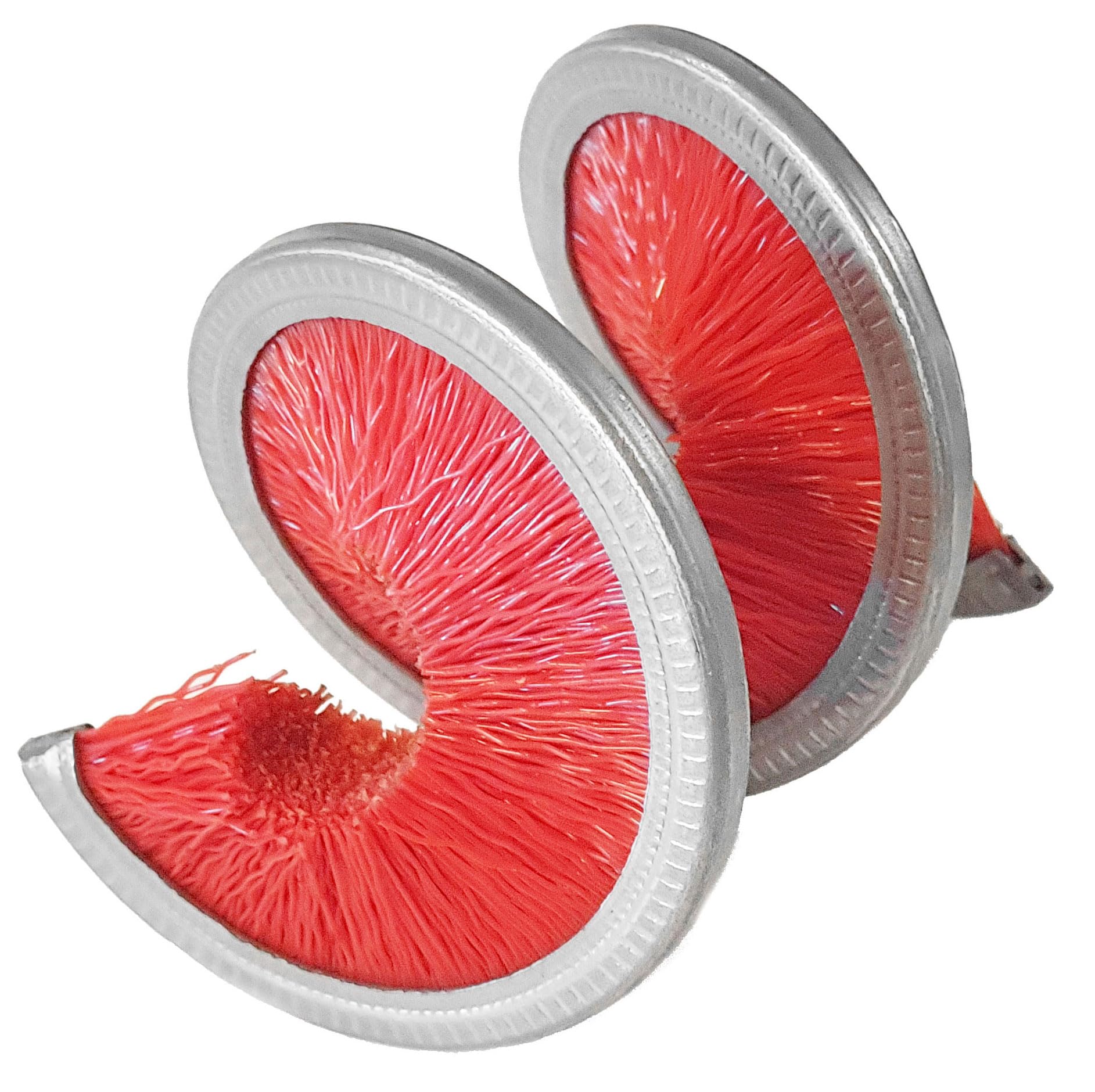 Bike It Tirox 360 Degree Motorcycle Motorbike Chain Brush - Quick And Easy To Use