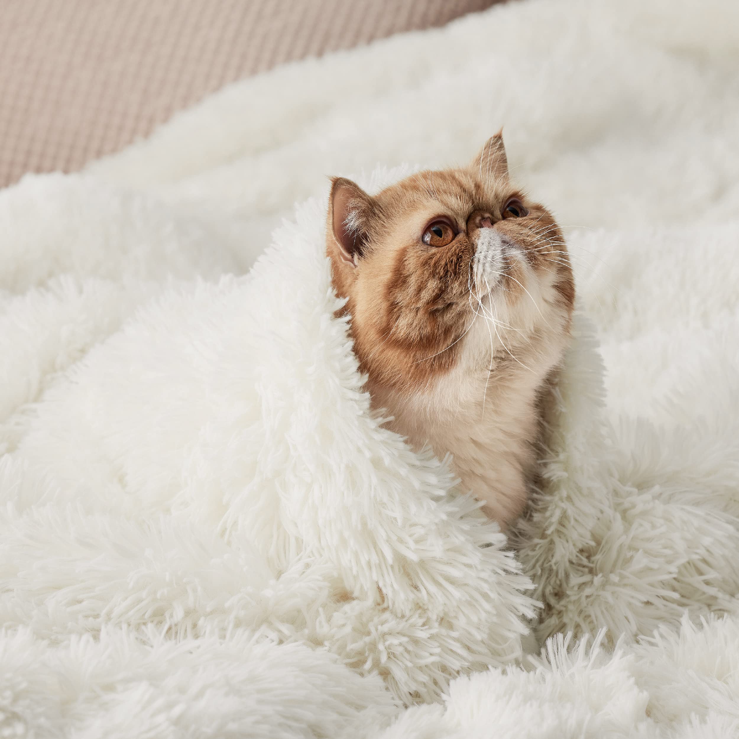 Bedsure Fluffy Cream Throw Blanket Decorative Throw Blankets for Bed Couch Sofa, Cream Decor Sherpa Fleece Soft Cozy Fuzzy Plush Thick Warm Faux Fur Decorations, Ivory Baby Girl Gifts, 50x60