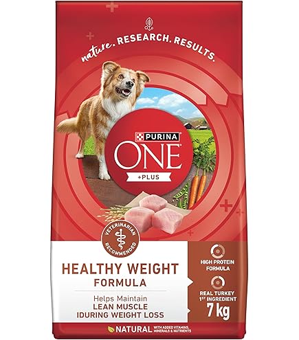 wanfoo PREMIUM DOG S SENIOR ７.６kg wanfoo PREMIUM DOG S SENIOR 7.6kg Purina® ONE® Healthy