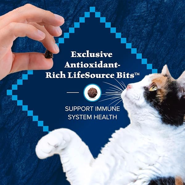 BLUE BUFFALO WILDERNESS GRAIN FREE NATURAL HIGH PROTEIN SALMON ADULT DRY CAT FOOD, 4 LBS.