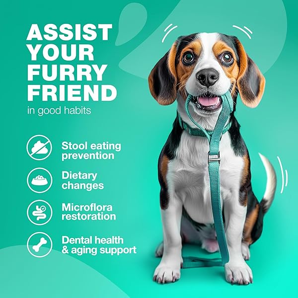 COPROPHAGIA DETERRENT – NO POO CHEWS FOR DOGS – DOG PROBIOTICS FOR DIGESTIVE HEALTH WITH ENZYMES – CANINE STOOL EATING DETERRENT – DIGESTIVE, DENTAL, GUT & IMMUNE HEALTH TREATS – NO POOP EATING