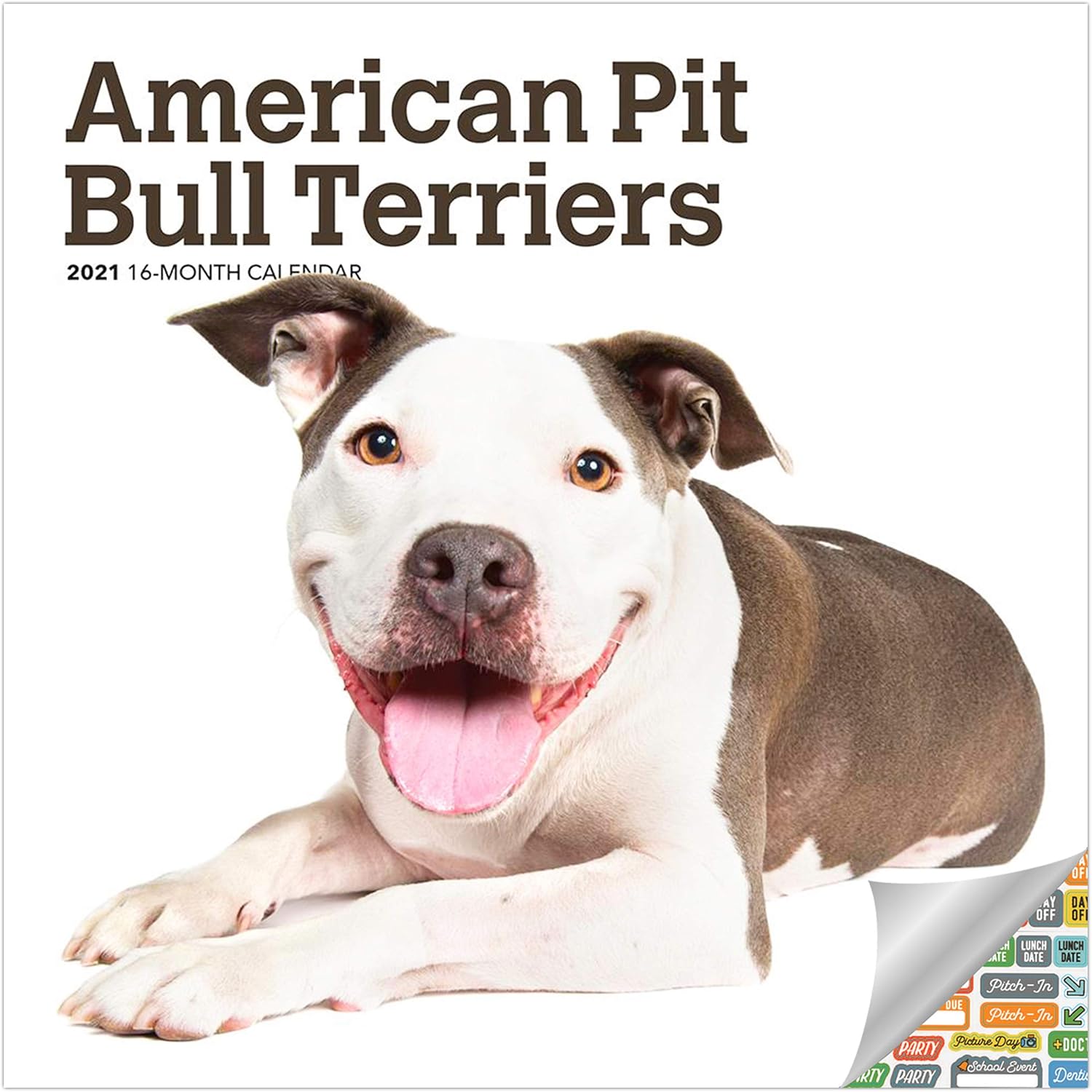 puppy american pitbull terrier