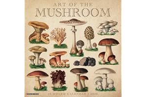 2026 Art of the Mushroom 12 x 12 Wall
