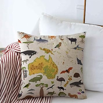 Amazon Com Staroatl Throw Pillow Case Graphic Australasia