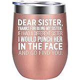 Sisters Gifts from Sister, Brother - Funny Gifts for Sister - Sister Gifts for Women - Christmas, Birthday Wine Gifts for Lit