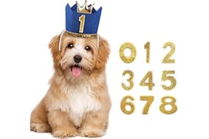 YAODHAOD Crown Dog Birthday Hat Girl Boy Reusable Birthday Party Cat Kitten Headband,Adoption Celebration or Gotcha Day Photos Decorations Party Hat (Blue-Boy)