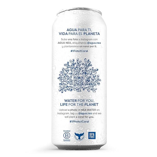 NEA CANNED WATER – AUSTRIAN ALPS SPRING MINERAL CAN WATER IN ALUMINUM CANS – PLASTIC FREE BPA FREE 16.9OZ (1 CASE – PACK OF 12)