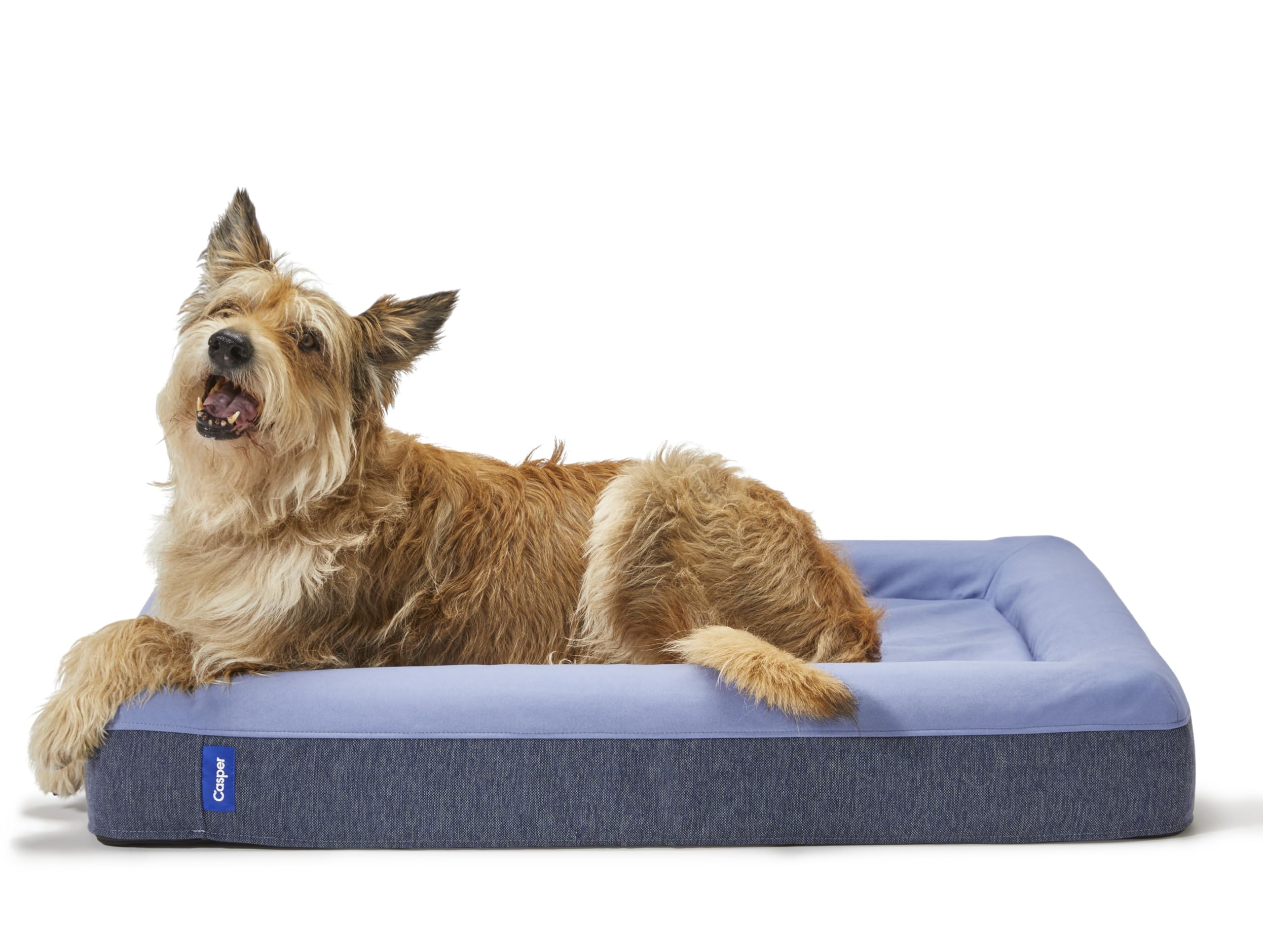 Casper Dog Bed, Plush Memory Foam, Small, Blue