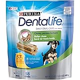 dentalife amazon