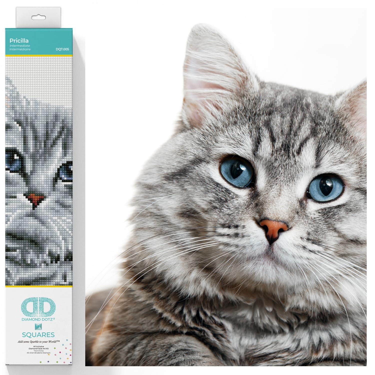 DIAMOND DOTZ Squares DQ7 Intermediate Kit, Colourful, 12.20" x 13.78"