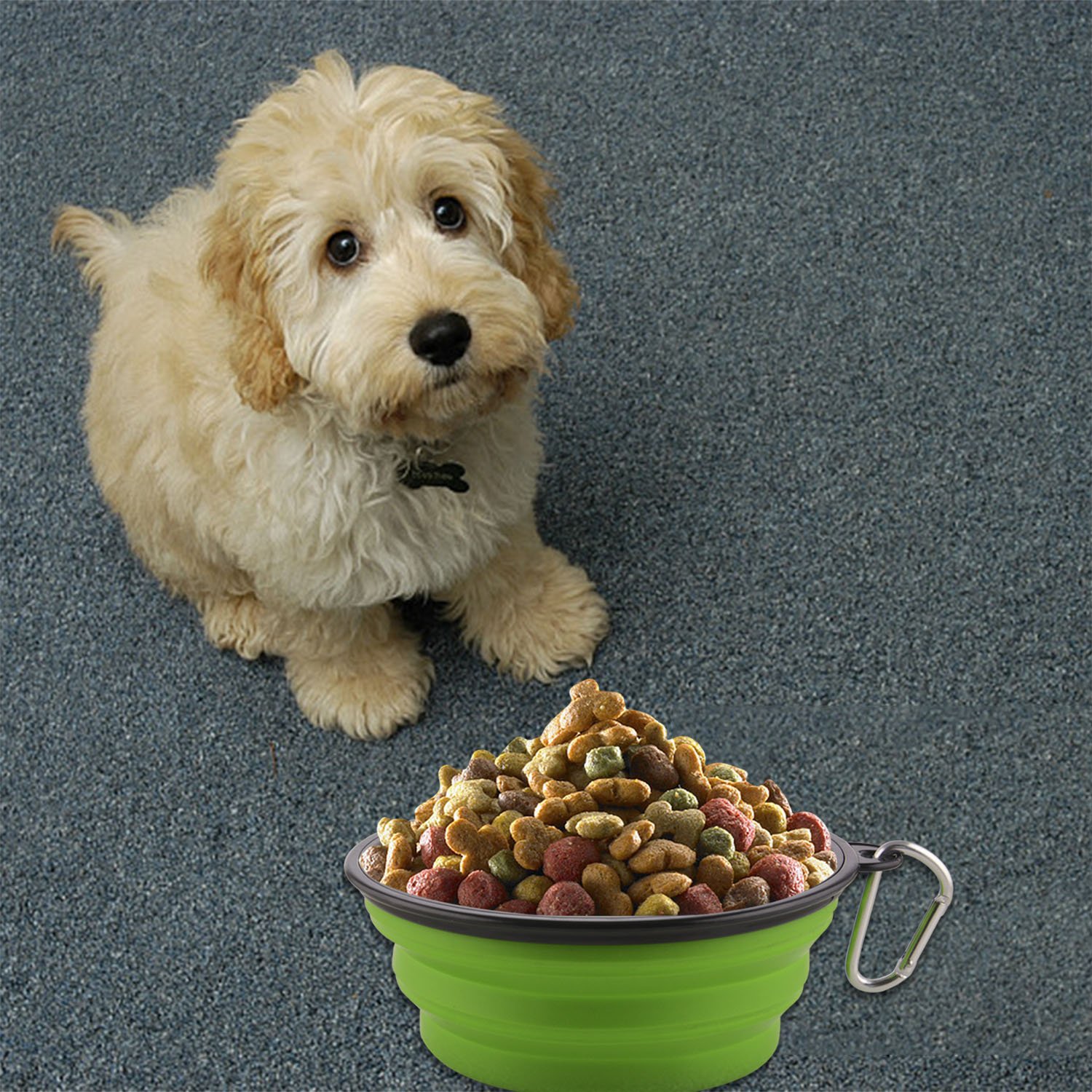 Guardians Large Collapsible Dog Bowls, 34oz Portable Foldable Water Bowls Food Dishes with Carabiner Clip for Travel, 2 Pack (Purple+Green)