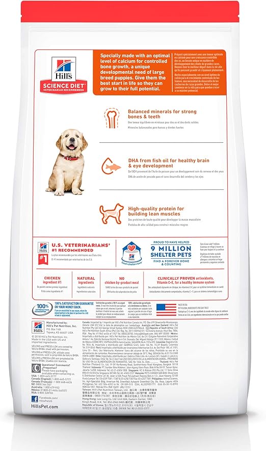 science diet large puppy feeding chart