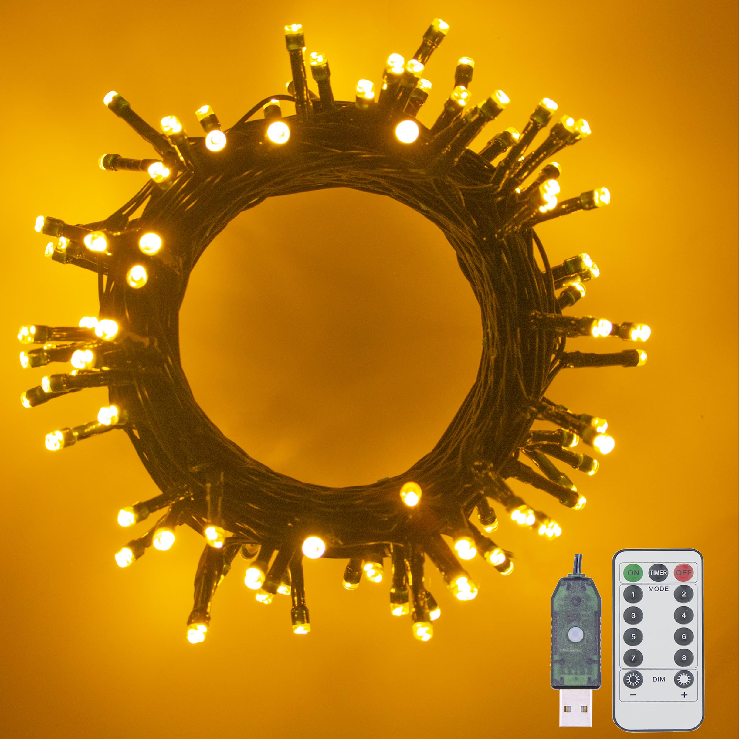 YUCHOI USB Powered Christmas String Lights, Warm White LED Fairy Lights On Dark Green Cable with Remote Control, for Indoor/Outdoor Xmas Tree Deco Party (10M-100LED)