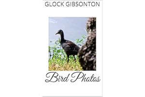 Bird Photos