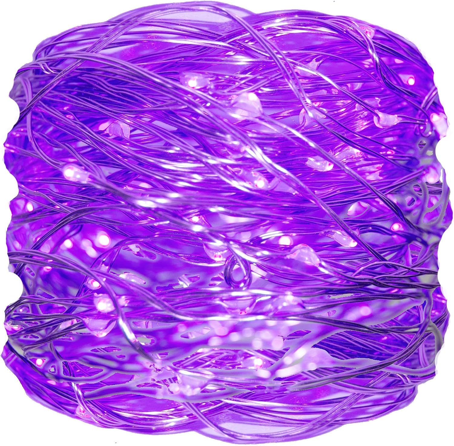 Hometown Evolution, Inc. Purple LED Fairy Lights Plug in