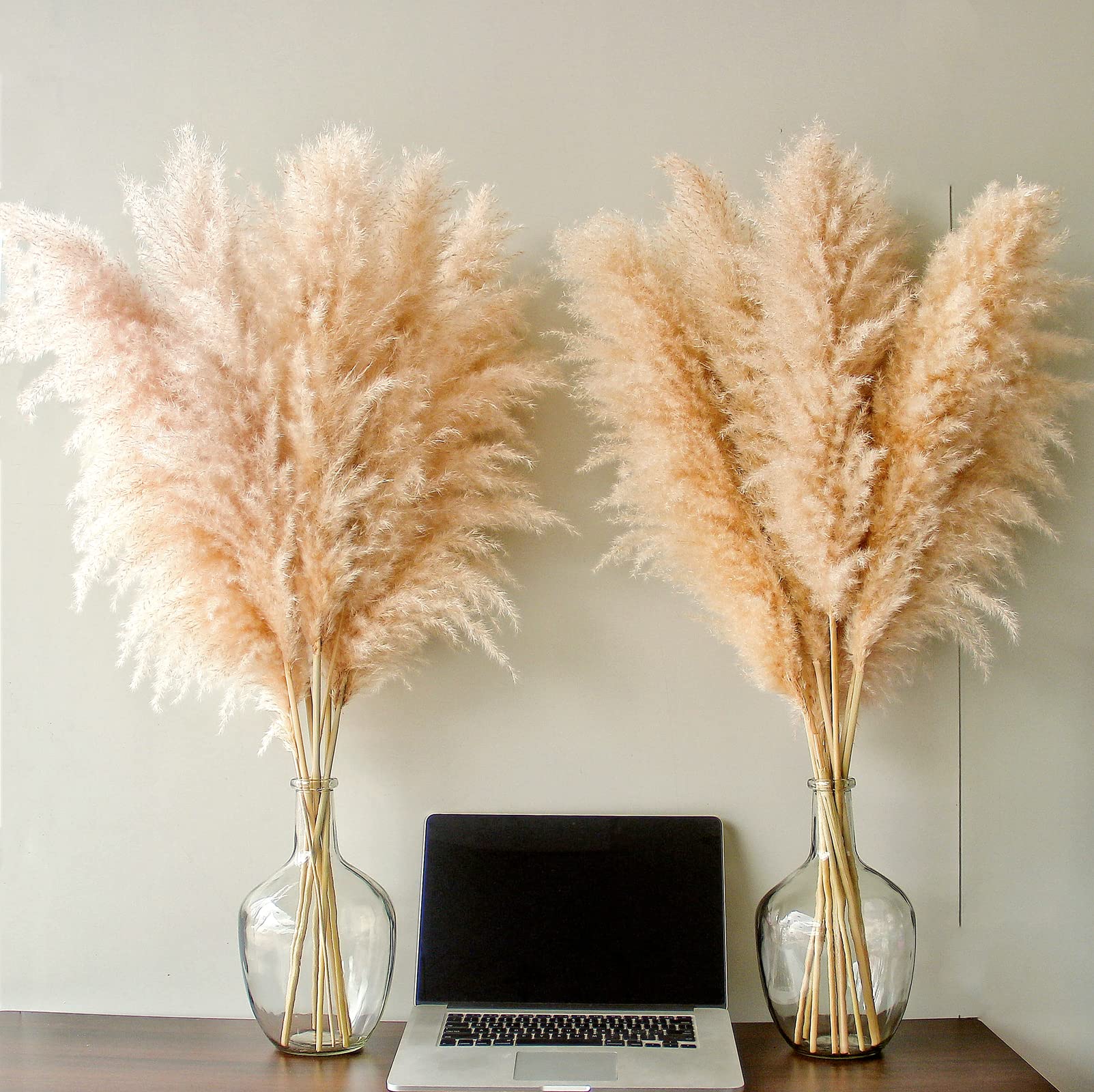Stems Natural Pampas Grass Decor Tall