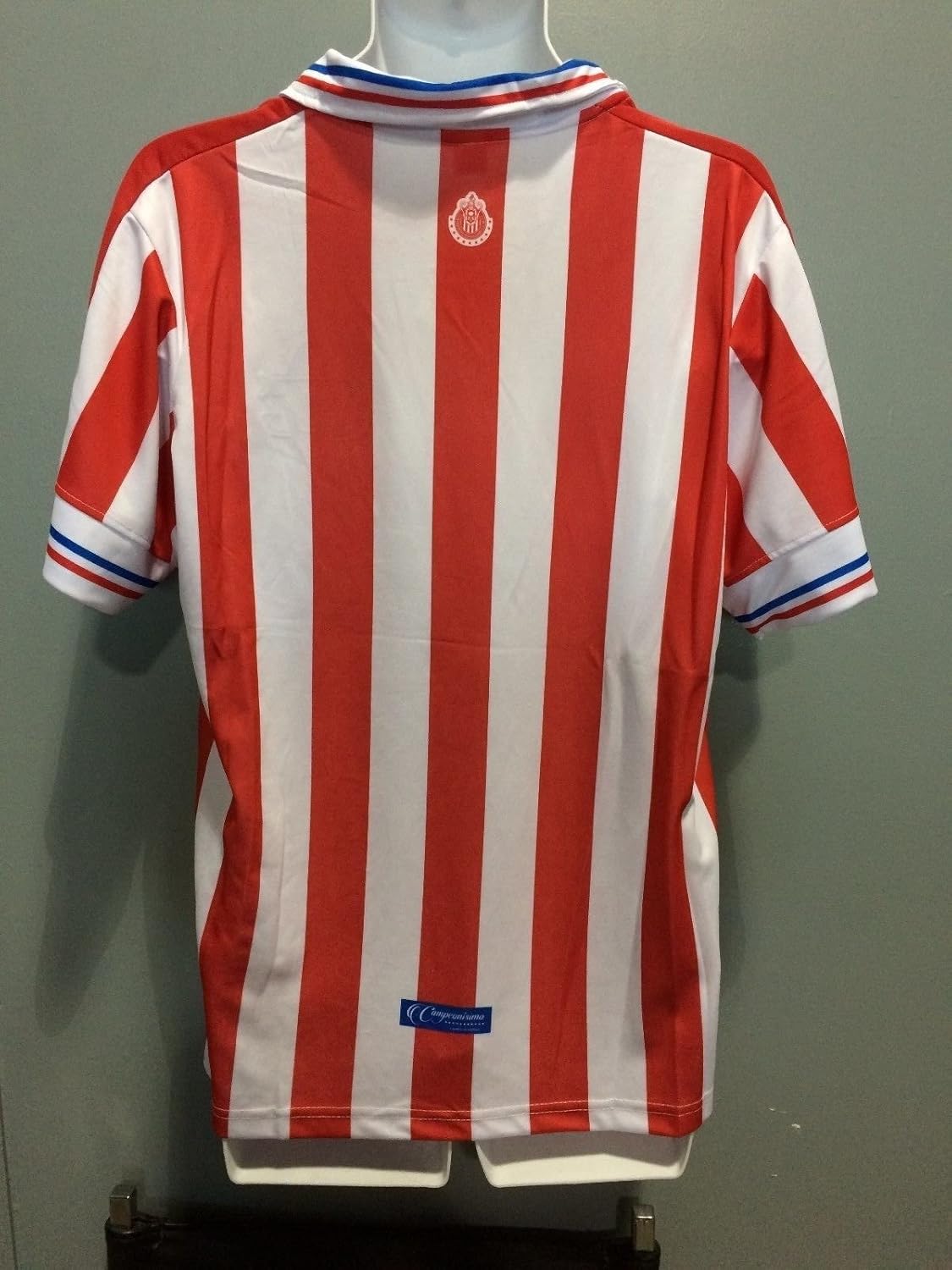 chivas 110 anniversary jersey