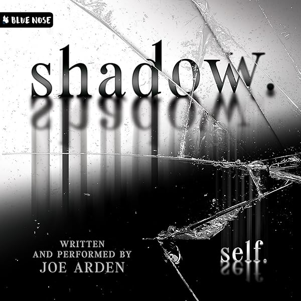 Amazon.com: The Chameleon Effect (Audible Audio Edition): Joe