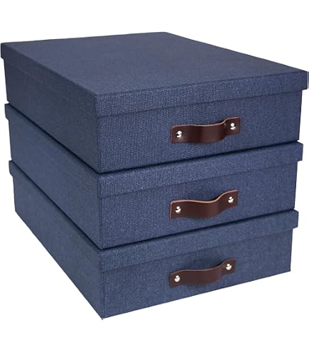 Amazon.com: Bigso Box of Sweden Silvia Organizational Storage Box