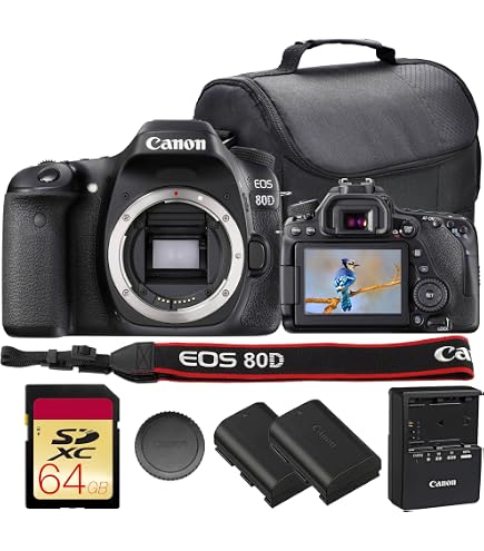 Amazon.com: Canon EOS 80D Digital SLR kit con lente EF-S 18–55mm f