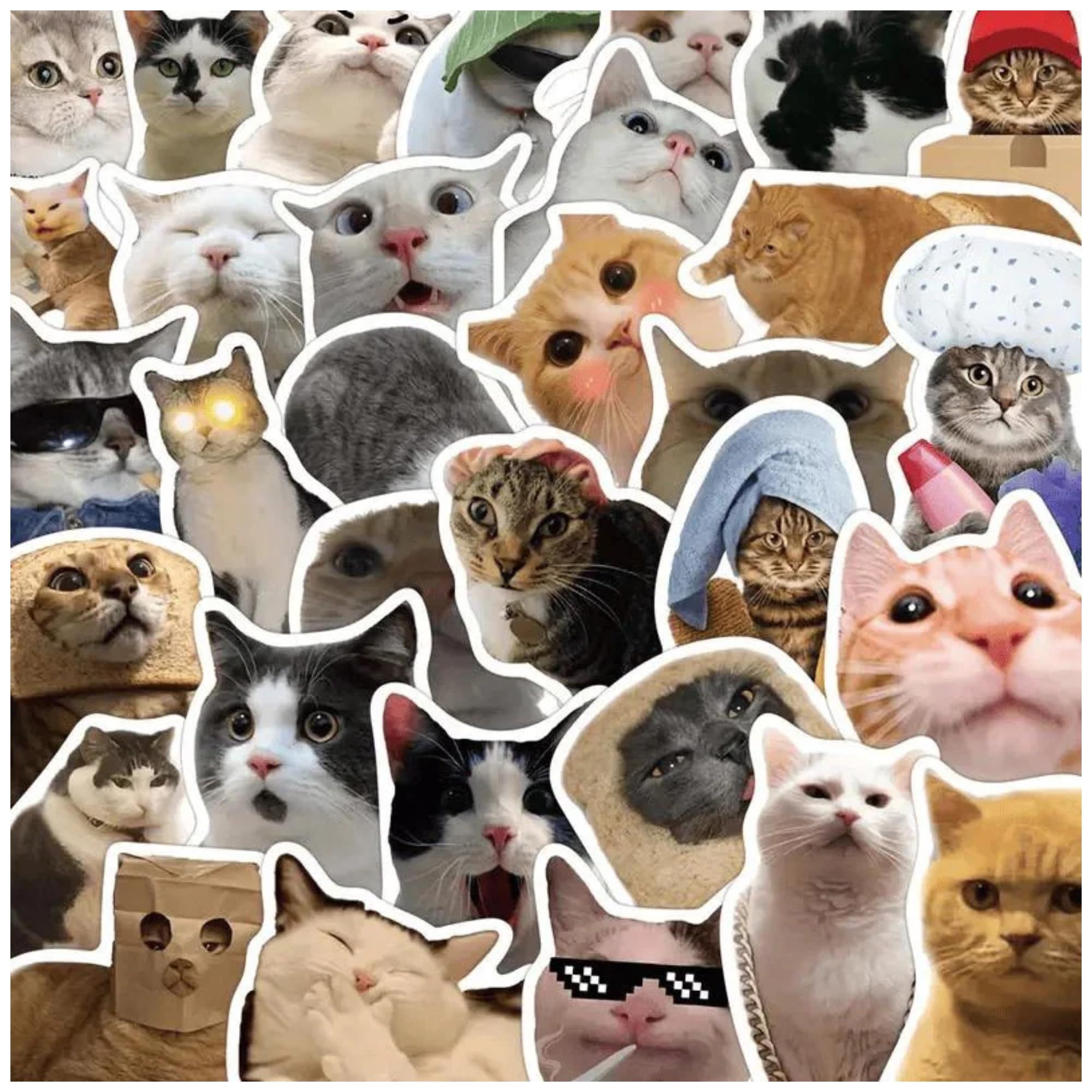 Cat Stickers,Funny Cat Meme, Kawaii for