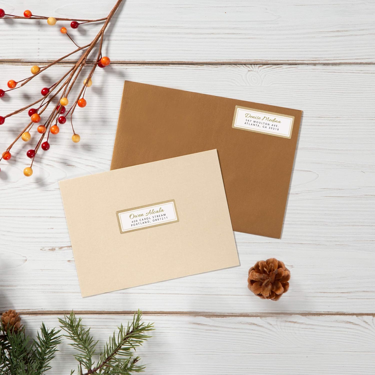 AVERY Address Labels, Matte White with Metallic Gold Borders, 1" x 2-5/8", 300 Blank Address Labels (6540): Office Products