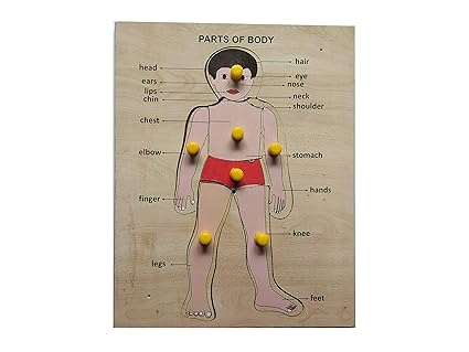 Wissen Economy Wooden Parts of Body Learning Puzzle