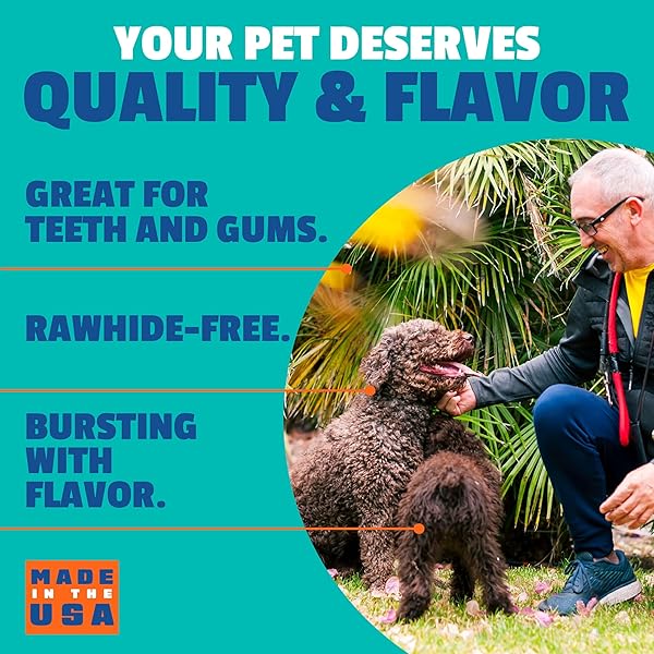 ETTA SAYS! FLAVOR FUSION – ALL NATURAL RAWHIDE FREE CHEWS FOR DOGS 2OZ CHEW – BEEF AND BONE BROTH – MADE IN THE USA (12 COUNT PACK OF 1)