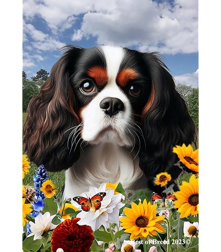 Bandiera Da Giardino Double Face Cavalier Spaniel - Tesori Dell'Caroline - Multicolore