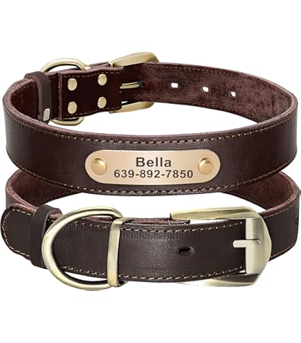Amazon.com : Genuine Leather Dog Collar Green 7 Sizes (14