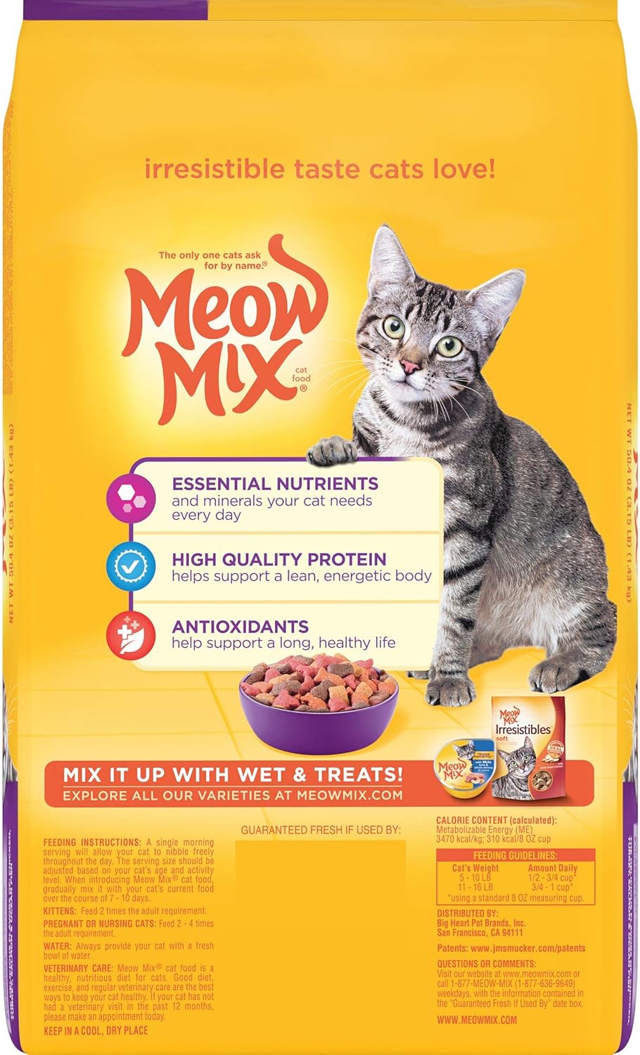 Sheltering Unwanted Cats At Cat Lovers Rescue